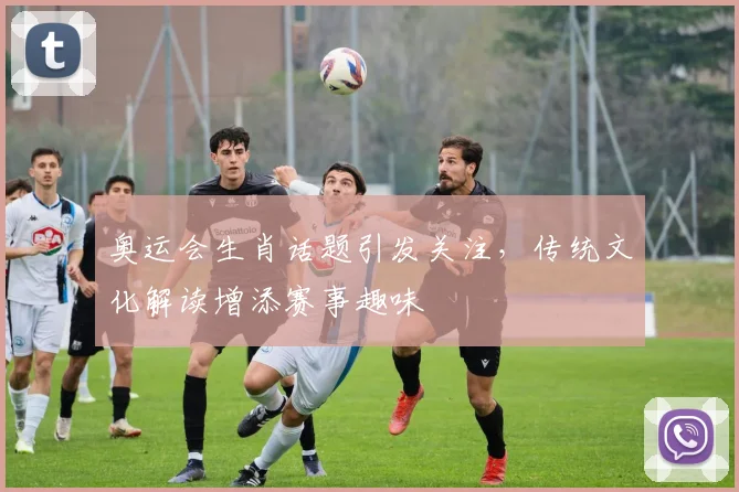 奥运会生肖话题引发关注,传统文化解读增添赛事趣味