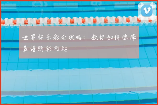 世界杯竞彩全攻略:教你如何选择靠谱购彩网站
