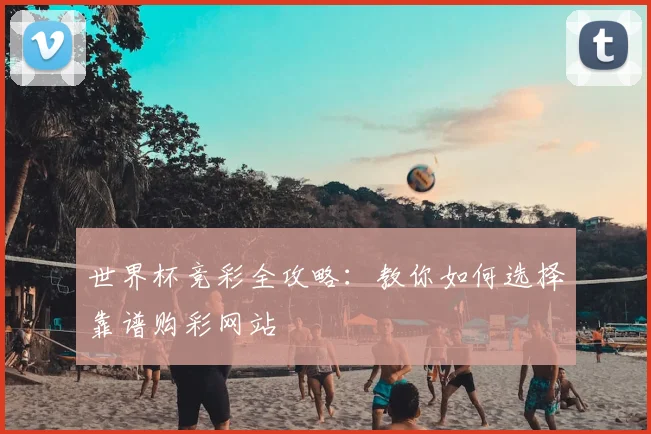 世界杯竞彩全攻略:教你如何选择靠谱购彩网站