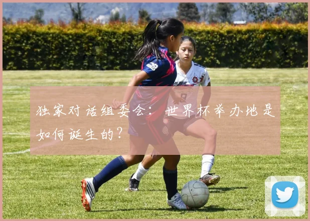 独家对话组委会:世界杯举办地是如何诞生的?
