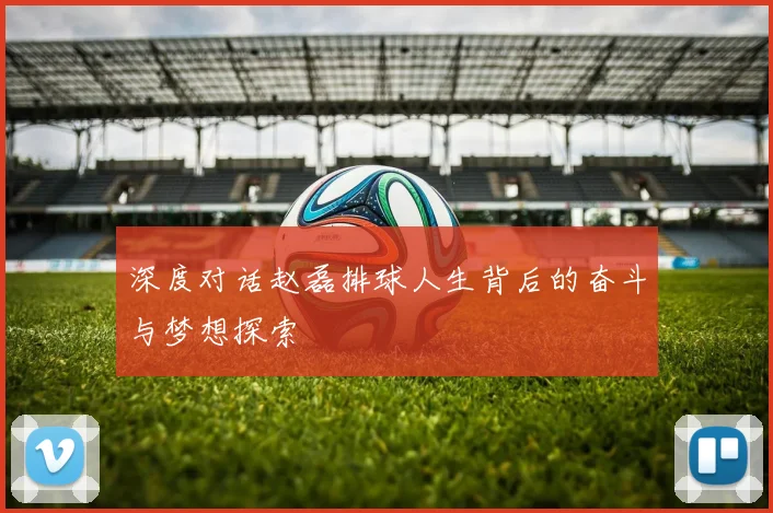 深度对话赵磊排球人生背后的奋斗与梦想探索
