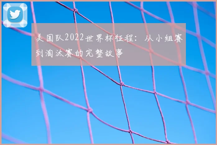 美国队2022世界杯征程:从小组赛到淘汰赛的完整故事