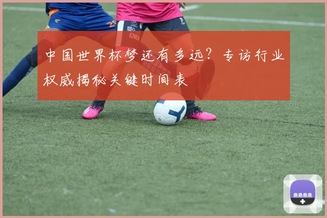中国世界杯梦还有多远?专访行业权威揭秘关键时间表