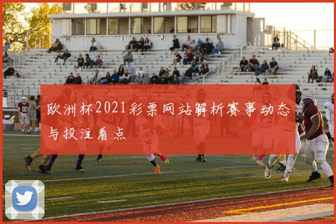 欧洲杯2021彩票网站解析赛事动态与投注看点