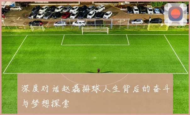 深度对话赵磊排球人生背后的奋斗与梦想探索